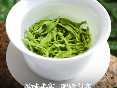 发1.5斤口粮茶2026新茶春茶云雾绿茶茶叶日照足碧螺春散装自己喝图3