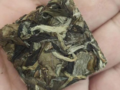 福建新茶福鼎白茶样品 白毫银针 白牡丹 白茶散装批发图3