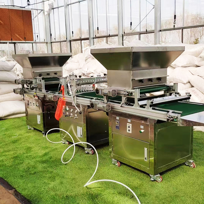 O1CN01lFI43c1OIP7qXJVxk_!!2614131682-0-cib (1)