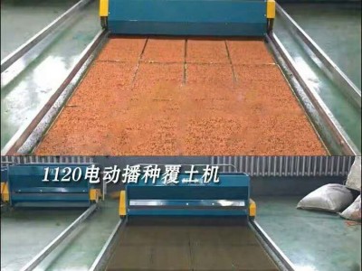 水稻育苗播种覆土机 现货电动播种覆土一体机 激光跑道播种机图2