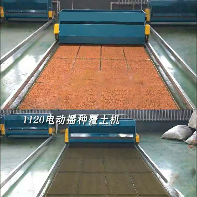 10335432769_2098862444