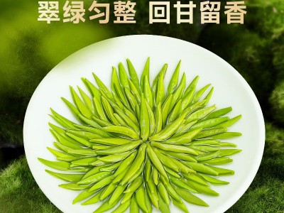头采雀舌绿茶茶叶2026新茶春茶散装茶叶自己喝嫩芽精选罐装伴手礼图4