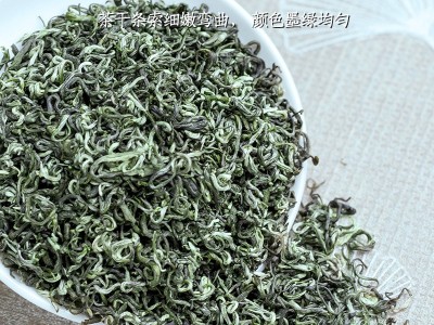 绿茶碧螺春2026新茶正宗明前头采春茶嫩芽高档罐装茶叶自己喝250g图4