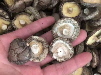 西峡冬菇3至4cm香菇干货肉厚无根新鲜干香菇细选冬菇小蘑菇批发图3