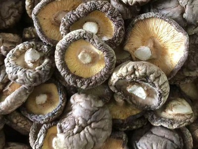西峡冬菇3至4cm香菇干货肉厚无根新鲜干香菇细选冬菇小蘑菇批发图4