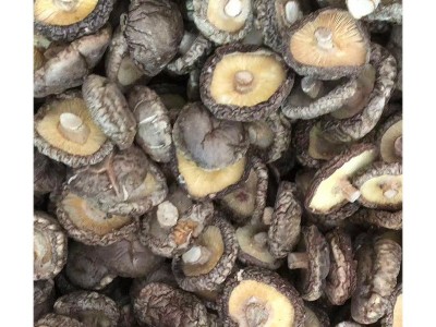 西峡冬菇3至4cm香菇干货肉厚无根新鲜干香菇细选冬菇小蘑菇批发图5