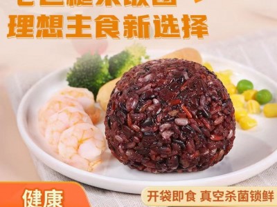十色糙米饭团粗粮米即食免煮米团早餐批发100克包装方便代餐食品图5