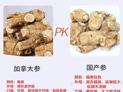 厂家直供加拿大西洋参批发各种规格圆粒头短支花旗参礼盒装西洋参图3