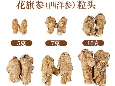 厂家直供加拿大西洋参批发各种规格圆粒头短支花旗参礼盒装西洋参图4
