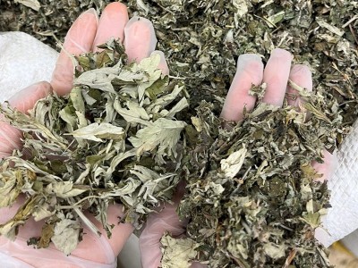 艾叶厂家批发陈年艾草艾叶叶洗澡泡脚足浴干艾草包端午艾叶宛艾图3