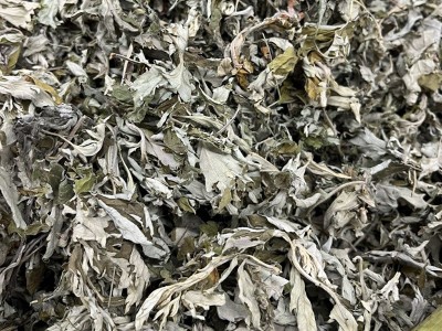艾叶厂家批发陈年艾草艾叶叶洗澡泡脚足浴干艾草包端午艾叶宛艾图4