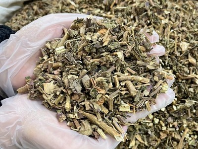 中草药批发广藿香藿香霍香药食同源藿香叶农产品加工一件代发图3
