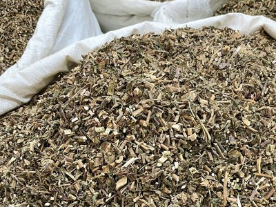 中草药批发广藿香藿香霍香药食同源藿香叶农产品加工一件代发图2