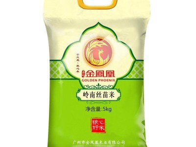 当季现磨新米 岭南丝苗米5KG香米大米批发一件代发 10斤真空包装图2