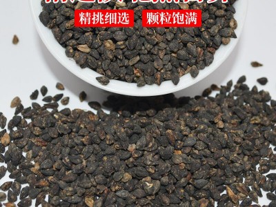 黑苦荞麦面粉苦荞全麦粉陕北原产地苦荞面粉五谷杂粮粉苦荞粉25kg图3