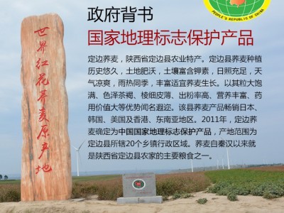 荞麦粉 定边塞雪红花荞麦面粉直销25KG 【陕西荞麦工厂】图4