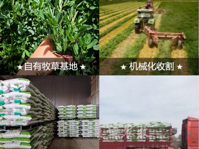 苜蓿草颗粒兔粮龙猫豚鼠荷兰猪羊羔宠物主粮萌宠饲料兔子花生壳粉图3
