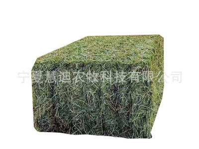 产地直发燕麦草捆饲草牧草饲草料牛羊奶牛奶山羊牦牛骆驼饲料原料图5