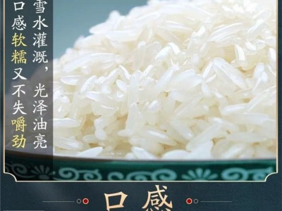 新疆羊脂米 绿色种植新疆大米天山雪水灌溉 公司礼品 代发图3