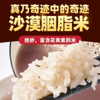 新疆察布查尔沙漠胭脂米 绿色种植大米天山雪水灌溉 代发新疆大米