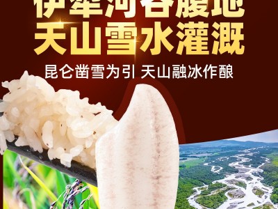 新疆察布查尔沙漠胭脂米 绿色种植大米天山雪水灌溉 代发新疆大米图4