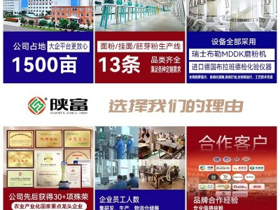 陕富面粉5kg农家自磨面粉10斤家用包子饺子馒头多用途中筋小麦粉图3