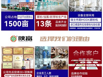 陕富新疆多用途面粉5kg一袋扯面饺子包子馒头中筋面粉厂家批发图3