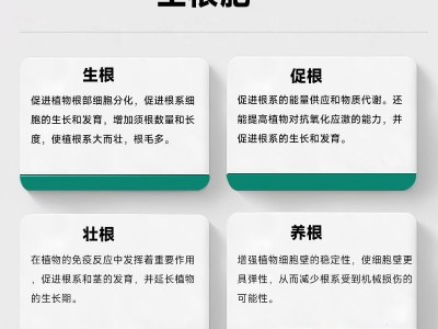生根肥原液工厂直发生根壮苗促长灌根育苗液体氨基酸水溶肥 叶面肥图3