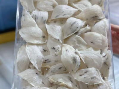 雨季头期极轻毛燕盏干挑毛燕窝鲜炖燕窝原料干挑大盏燕窝干盏滋补图2