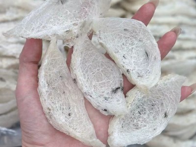 雨季头期极轻毛燕盏干挑毛燕窝鲜炖燕窝原料干挑大盏燕窝干盏滋补图3