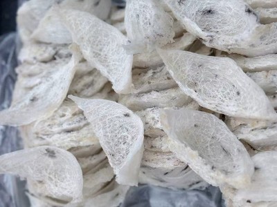 雨季头期极轻毛燕盏干挑毛燕窝鲜炖燕窝原料干挑大盏燕窝干盏滋补图4