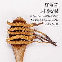 西藏那曲高海拔冬虫夏草虫草瓶装6根装足干10根冬虫夏草自吃虫草
