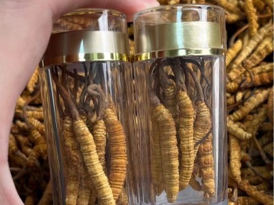 西藏那曲高海拔冬虫夏草虫草瓶装6根装足干10根冬虫夏草自吃虫草图5
