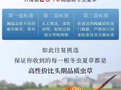 西藏那曲冬虫夏草干货虫草礼盒装冻干精选足干送礼高营养图3