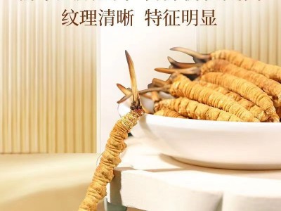 西藏那曲冬虫夏草干货虫草礼盒装冻干精选足干送礼高营养图4