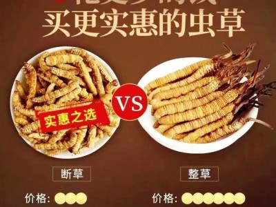 冬虫夏草断草纯肉体批发零售各种规格那曲正品虫草草本大断草自用图3