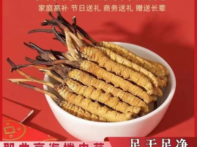 西藏那曲冬虫夏草正宗高精品干货头期本草虫草正品滋补品泡酒送礼图2