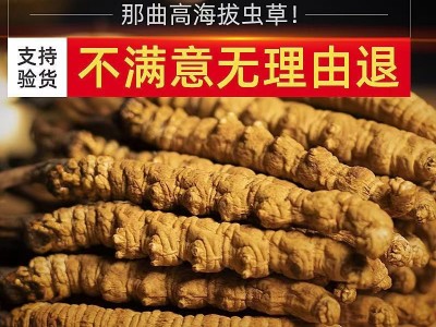 西藏那曲冬虫夏草正宗高精品干货头期本草虫草正品滋补品泡酒送礼图3