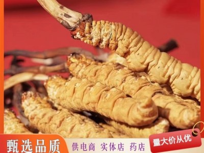 西藏那曲冬虫夏草正宗高精品干货头期本草虫草正品滋补品泡酒送礼图4