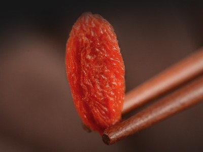 无硫熏枸杞子宁夏头茬优大果500g枸杞泡酒料入药批发滋补免洗即食图4