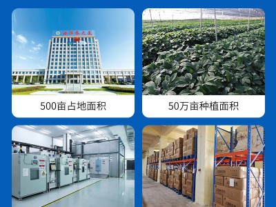 道地参业文登西洋参片软支工艺花旗参泡水批发零售代加工图4