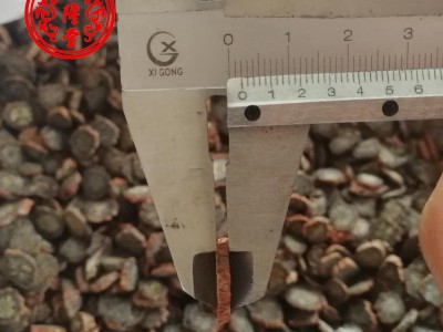 批发中药材丹参各种规格新货黑茬发汗花草茶紫丹参粉大片养生草图3