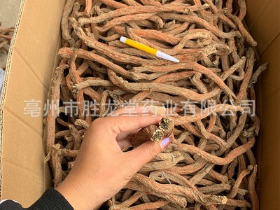 批发中药材丹参各种规格新货黑茬发汗花草茶紫丹参粉大片养生草图2
