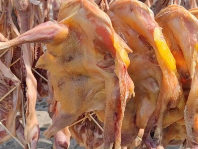 批发湖北风干鸡700g去翅爪老母鸡腊鸡腊鸭厂家支持拿样一件代发图2