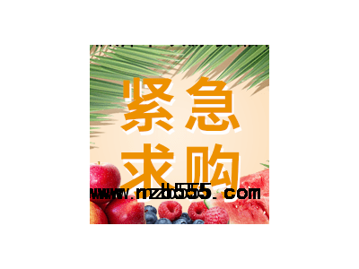 采购品种：甜瓜苗