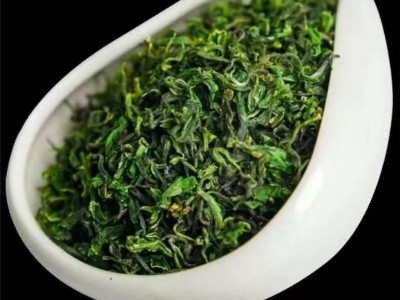 日照绿茶明前茶小叶雪青芽茶散装三月茶叶袋装500g包邮雨前茶特级图5