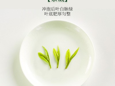 2026年珍稀白茶高山雨前新茶特级浓香型白茶毛峰茶叶散装批发图3