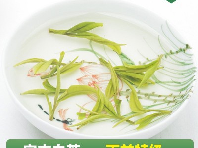 2026新茶正宗安吉白茶雨前特级兰花香明前嫩芽绿茶白茶茶叶简装图4