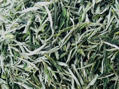 2026年明前翠玉白芽松针云南绿茶白毫春尖烘青滇绿茶一芽一叶新茶图5