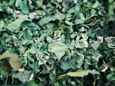 供应糯香草茶现货散装干品糯米香叶批发带梗香包云南100g云南直供图4